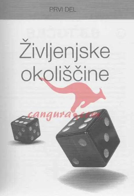 Enačba za srečo - slika 10