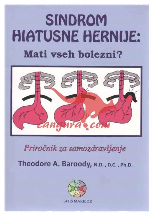 Sindrom hiatusne hernije - mati vseh bolezni? - Priročnik za samozdravljenje - slika 2