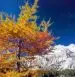 A memory of Slovenia - slika 4