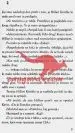 Zvezdica - Romani Grlica - slika 8