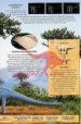 Rastlinojedci - Dinozavri - slika 8
