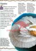 Najlepša knjiga o baletu - slika 11