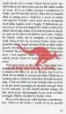 (Ne)dogovorjena poroka - Romani Grlica - slika 5