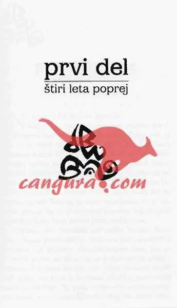 (Ne)dogovorjena poroka - Romani Grlica - slika 2