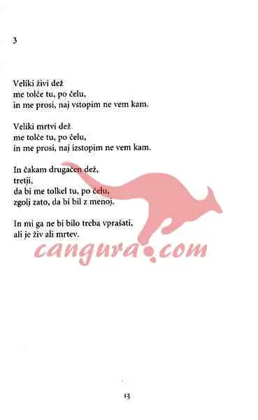 Vertikalna poezija - slika 6