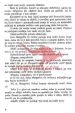 Sveto sivo življenje - slika 4
