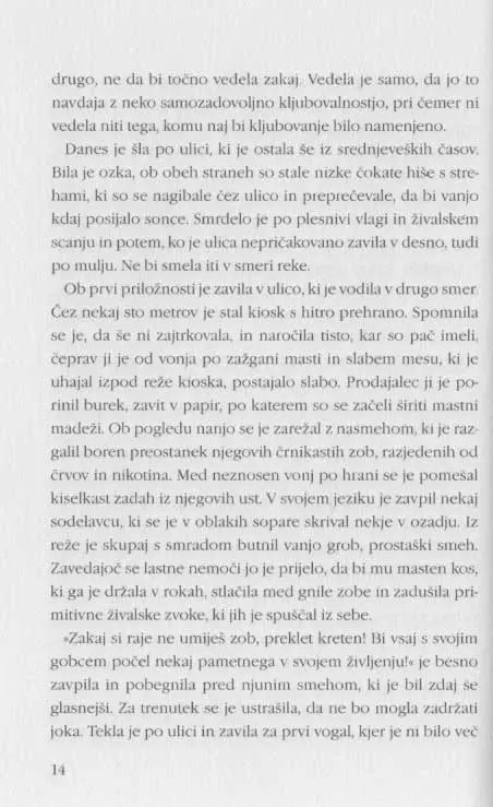 Pred ograjo - Knjižna zbirka Piramida - slika 11