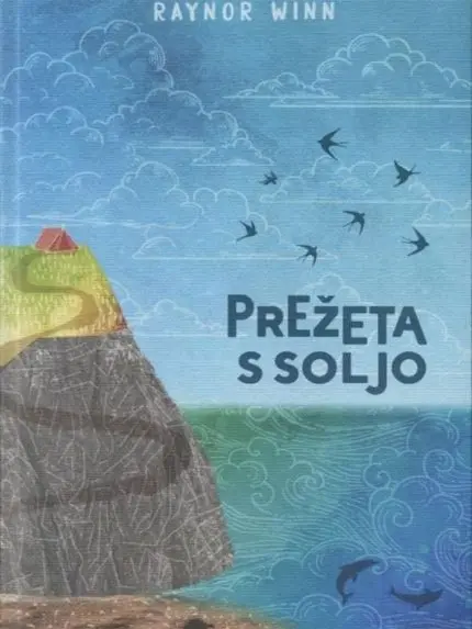 Prežeta s soljo