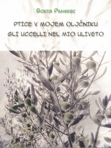 Ptice v mojem oljčniku - Gli ucceli nel mio uliveto