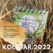 Koledarček za dvig ženske energije - slika 3
