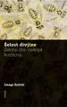 Šelest divjine - slika 2
