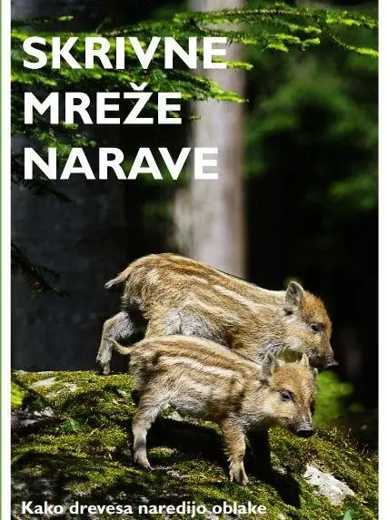 Skrivne mreže narave