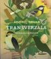 Transverzala - slika 3