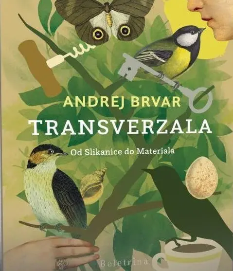 Transverzala - slika 3