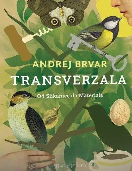 Transverzala