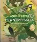 Transverzala - slika 4