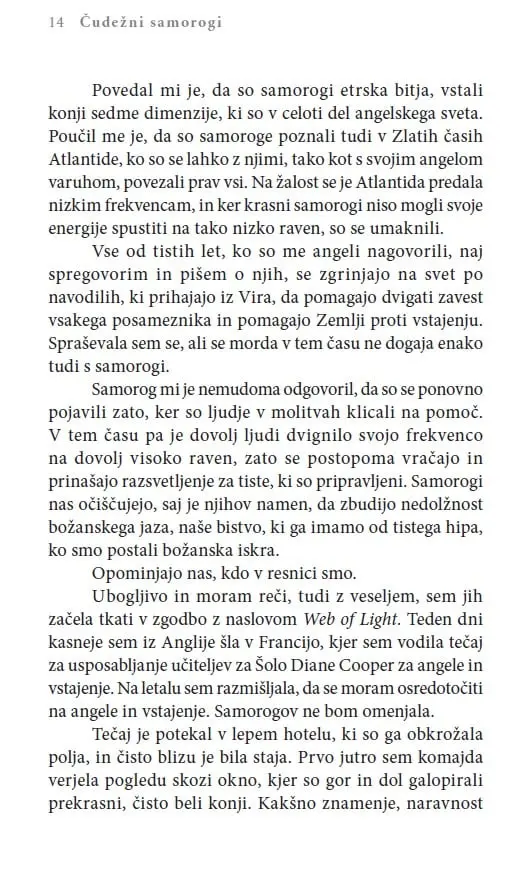 Čudežni samorogi: Vnebovzetje z višjimi angelskimi svetovi - slika 23
