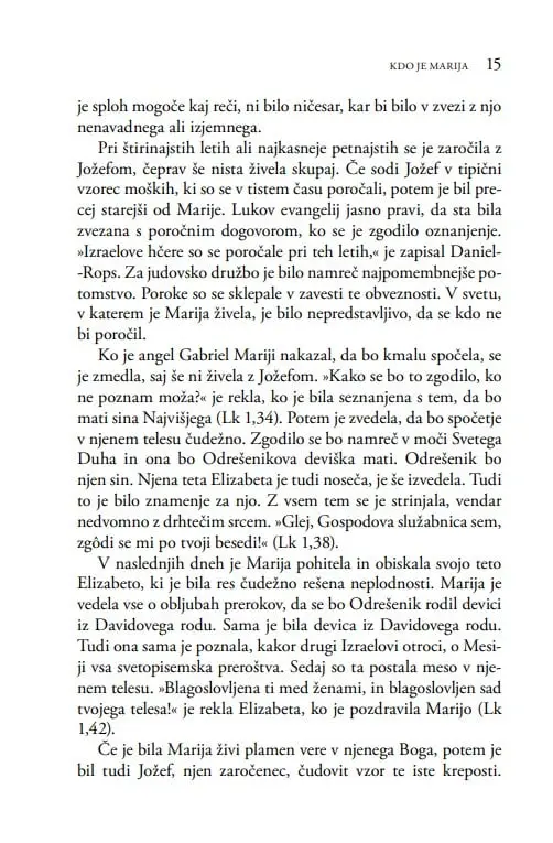 Marijina prikazovanja po svetu - slika 25