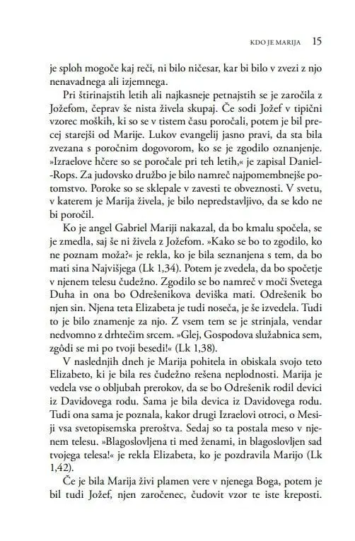 Marijina prikazovanja po svetu - slika 11