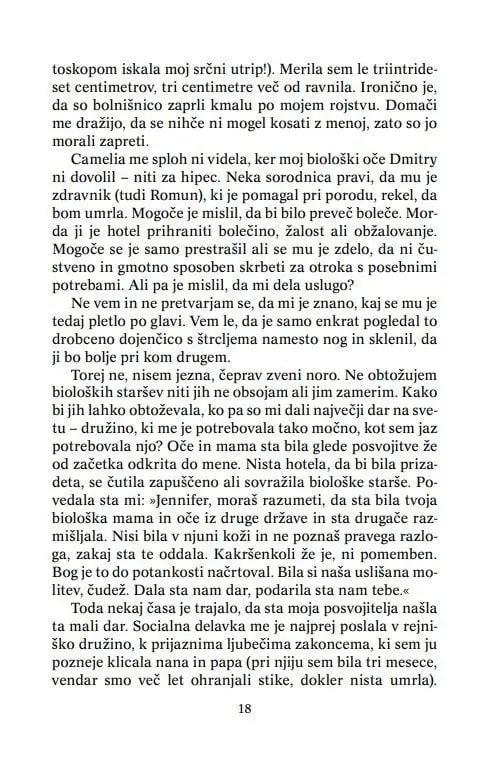 Vse je mogoče - slika 12