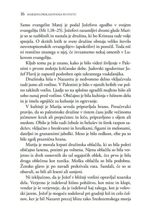 Marijina prikazovanja po svetu - slika 26
