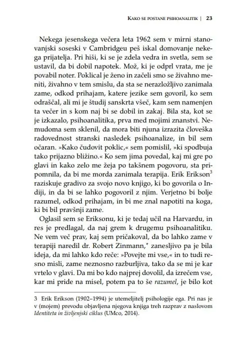 Končna analiza - slika 30