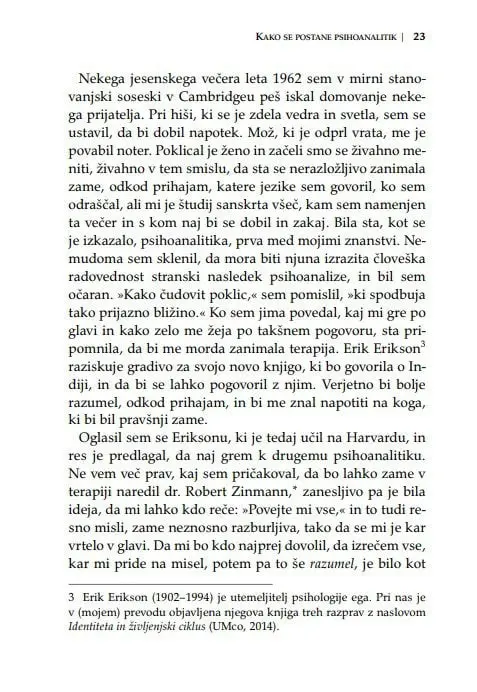 Končna analiza - slika 12