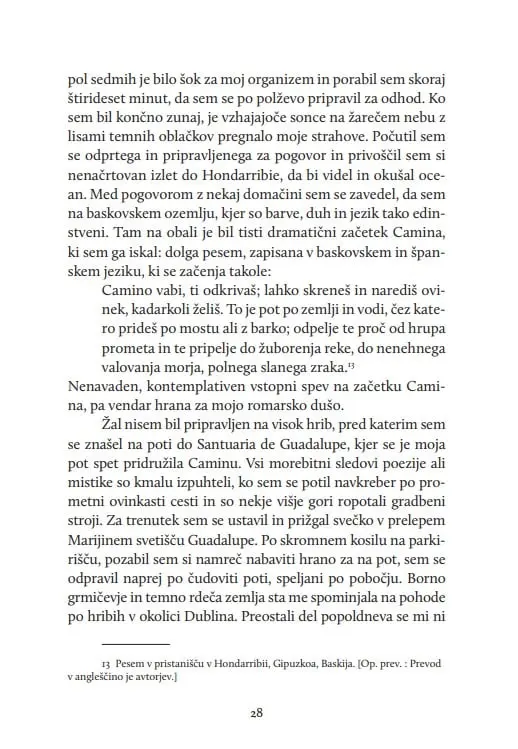Odrešilna pot - slika 27