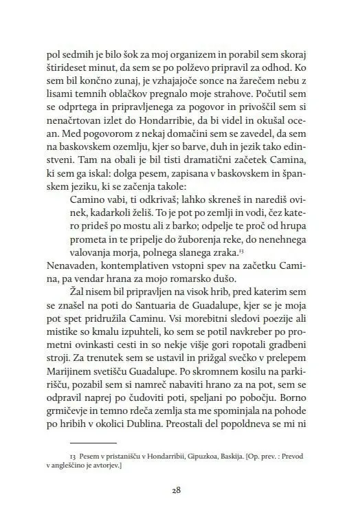 Odrešilna pot - slika 12