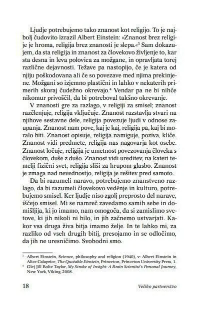 Veliko partnerstvo - slika 13