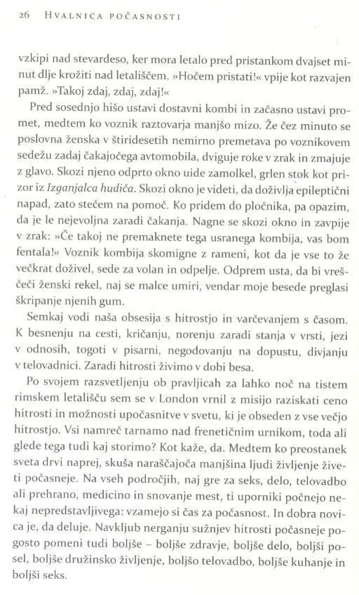 Hvalnica počasnosti - slika 13