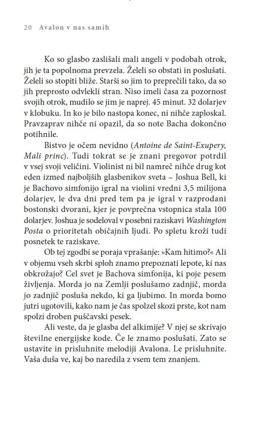 Avalon v nas samih - slika 28
