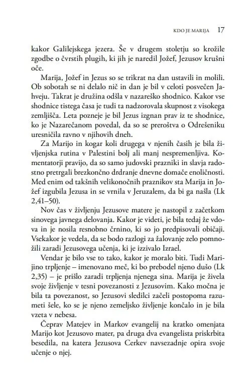 Marijina prikazovanja po svetu - slika 27