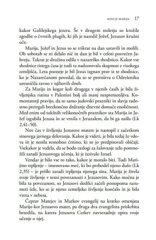 Marijina prikazovanja po svetu - slika 13