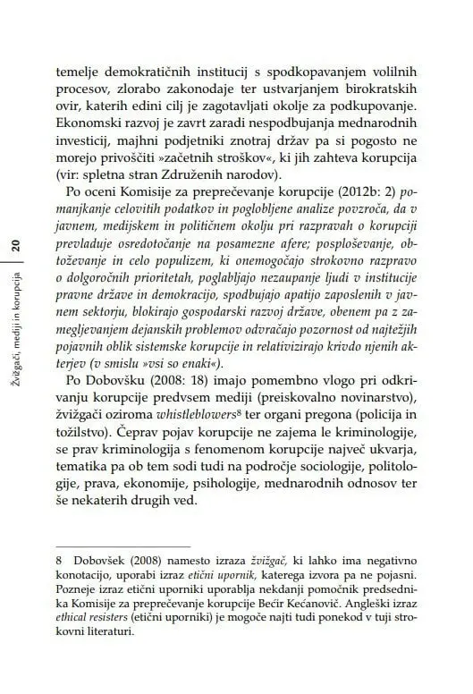Žvižgači, mediji in korupcija - slika 13