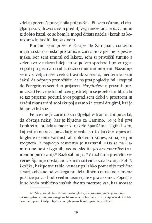 Odrešilna pot - slika 28