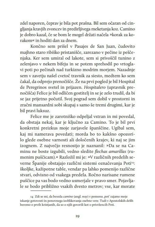 Odrešilna pot - slika 13