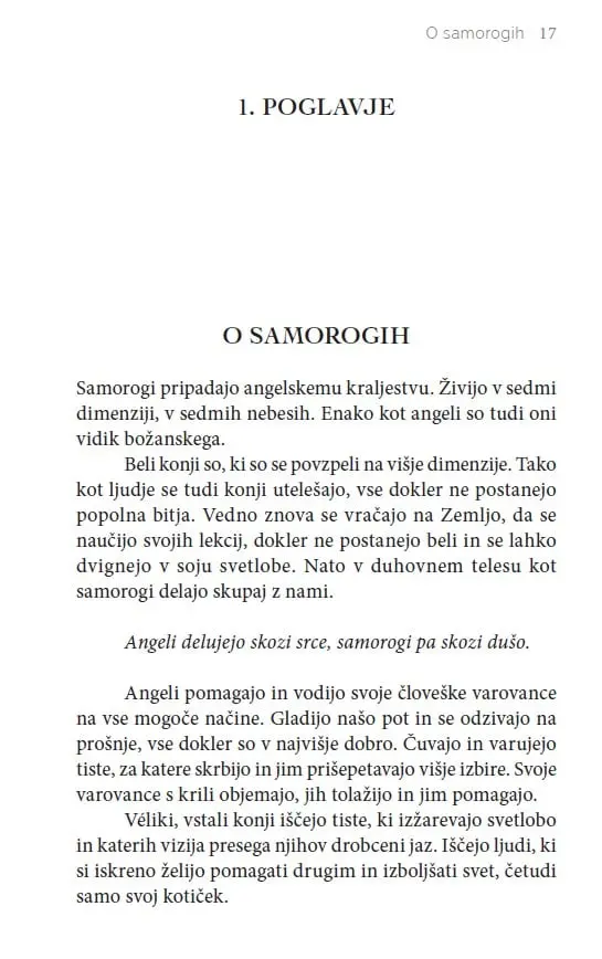 Čudežni samorogi: Vnebovzetje z višjimi angelskimi svetovi - slika 26