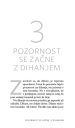 Sedeti pri miru kot žaba (Cangurina KNJIGA LETA 2020) - slika 34