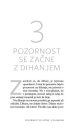 Sedeti pri miru kot žaba (Cangurina KNJIGA LETA 2020) - slika 14
