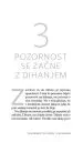 Sedeti pri miru kot žaba (Cangurina KNJIGA LETA 2020) - slika 14