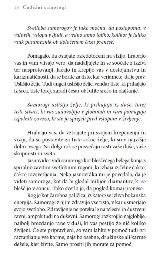 Čudežni samorogi: Vnebovzetje z višjimi angelskimi svetovi - slika 27