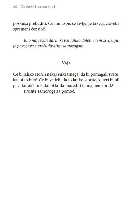 Čudežni samorogi: Vnebovzetje z višjimi angelskimi svetovi - slika 29