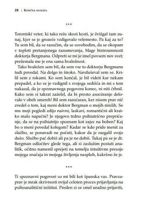 Končna analiza - slika 17