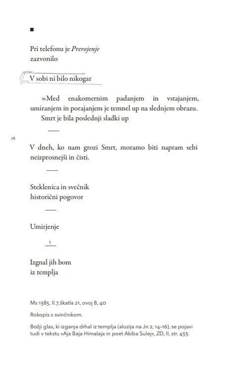 Vsem naj bom neznan, 1. knjiga - slika 38