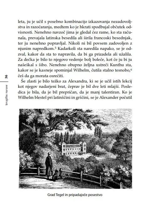Iznajdba narave - slika 41