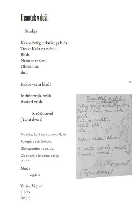 Vsem naj bom neznan, 1. knjiga - slika 41