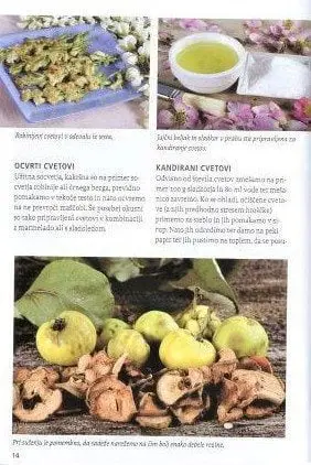 Naša užitna drevesa in grmi - slika 2