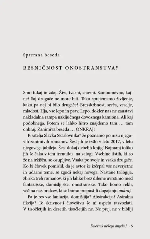 Dnevnik nekega angela, I. del - slika 12