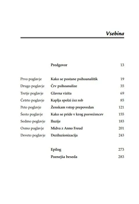 Končna analiza - slika 20